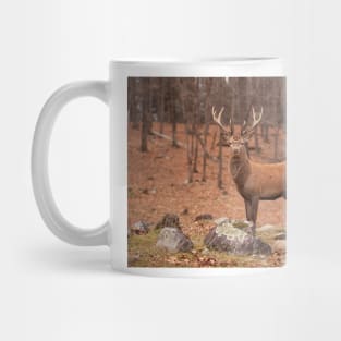 King of the forest Mug